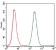 CCL2 Primary Antibody MP30351 [M2D8]