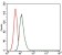 THPO Primary Antibody MP30352 [M1B11]