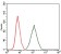 RAP1A Primary Antibody MP30354 [M5F8]