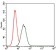 RAP1A Primary Antibody MP30355 [M5F8G2]