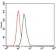 MAP1LC3B Primary Antibody MP30363 [M5H12]