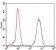 EIF4B Primary Antibody MP30365 [M1F5]
