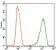 NOS2 Primary Antibody MP30368 [M4E5]