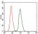 KLK3 Primary Antibody MP30371 [M8A12]