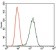 GPC3 Primary Antibody MP30372 [M9C2]