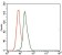 DLL4 Primary Antibody MP30373 [M4A11G2]