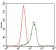 SHH Primary Antibody MP30375 [M5H4]