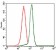PPM1A Primary Antibody MP30376 [M7F12H6]