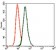 GRIA2 Primary Antibody MP30382 [M7G6]