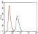ARHGDIA Primary Antibody MP30387 [M2G3]