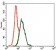 INCENP Primary Antibody MP30388 [M3D2]
