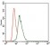 VAV1 Primary Antibody MP30390 [M2E11]
