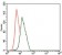 ENO2 Primary Antibody [M5D3]