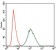 PLK1 Primary Antibody MP30396 [M3C11]