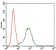 IGF2 Primary Antibody MP30399 [M8H1]