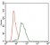 TWF1 Primary Antibody MP30407 [M7C11]