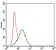 PTPN11 Primary Antibody MP30409 [M6D9]