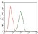 ILK Primary Antibody MP30415 [M3A9]