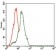 SST Primary Antibody MP30416 [M7G5]