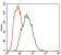 MARK3 Primary Antibody MP30418 [M2G12]