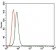 CD55 Primary Antibody MP30422 [M3F12]