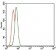TRIP6 Primary Antibody MP30424 [M6H4]