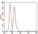 human Splunc2 Primary Antibody MP30426 [M4C7D7]