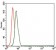 CD59 Primary Antibody MP30428 [M8D2B8]