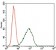 CDKN2A Primary Antibody MP30434 [M1D7D2]