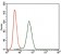 KEAP1 Primary Antibody MP30435 [M7G4B10]