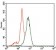 ID2 Primary Antibody MP30450P  [M4E12G5]