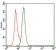 PCNA Primary Antibody MP30453P [M7H4F8]