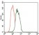 FCER1A Primary Antibody MP30466A [M1F2A9]