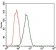 FCER1A Primary Antibody MP30466P  [M1F2A9]