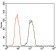 DCTN4 Primary Antibody MP30469A  [M3G9D7]