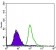TP53BP1 Primary Antibody MP30484P [M6B3E10]