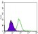 EGFR mutant Primary Antibody MP30486P [M5G9B5]
