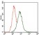 MAPK14 Primary Antibody MP30491 [M8G4D11]