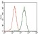 GATA6 Primary Antibody MP30492 [M2F10G3]