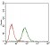 FGF4 Primary Antibody MP30494 [M2D7D5]