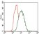 CK5 Primary Antibody MP30496 [M2C2B4]