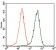 SQSTM1 Primary Antibody MP30497 [M5H7E2]