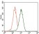 PHC1 Primary Antibody MP30499 [M1F3F3]