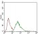 MCAM Primary Antibody MP30505 [M6C3E6]
