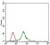 ZFP42 Primary Antibody MP30513 [M5E11A6]