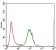 IL3RA Primary Antibody MP30516 [M8E11C5]