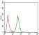 CD24 Primary Antibody MP30519 [M4F4E10]