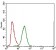 ABCC4 Primary Antibody MP30521 [M2D2A9]