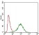 ABCC4 Primary Antibody MP30526 [M6A7H3]