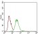 DCN Primary Antibody MP30543 [M5E8E7]